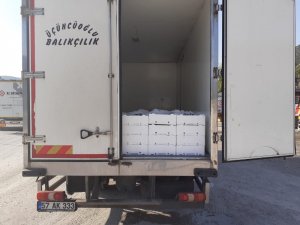 Kargı’da 2 ton kaçak balık yakalandı