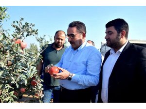 AK Parti’li Doğru: "Pamuk üreticisi primden memnun kalacak"