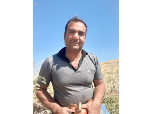 Soğan tarlada 30 kuruş, markette 2 buçuk lira