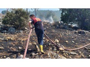 Zeytinlik alanda başlayan yangın korkuttu