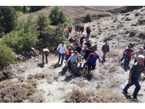 Cevizden düşen kadını bir kilometre sedyede taşıyarak ambulansa ulaştırdılar