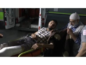 Ayı saldırısına uğrayan yaşlı adam hayatını kaybetti