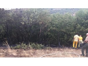 Balıkesir’de çıkan orman yangını 200 metrekarede kontrol altına alındı