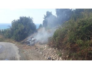 Samandağ’da kuru ot yangını korkuttu