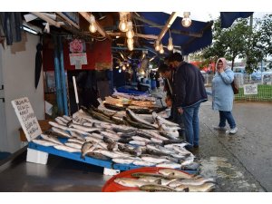 Hamsi 3 günde fiyatını 5’e katladı