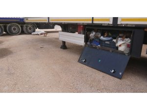 Uzun yoldan geldi kalbine yenik düştü