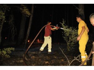 Muğla’da orman yangını