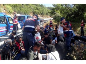 Mülteci minibüsü kaza yaptı, organizatörler 48 bin dolarla kaçtı