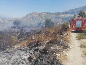 Samandağ’da bitki örtüsü yangını