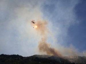 Osmaniye’de orman yangını