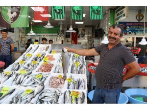 Denizli’de balık fiyatları uygun olunca ilgi de büyük oldu