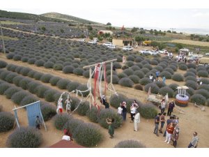 Lavanta Kokulu Köy 750 bin ziyaretçi ağırladı