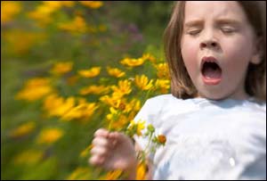 Alerjik Rinit’e dikkat!