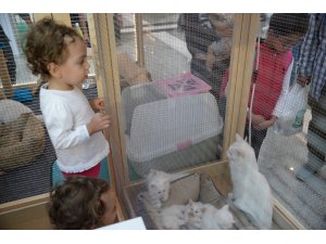 Anakara'da "2. Uluslararası Coğrafi İşaretli Ürünler" zirvesi