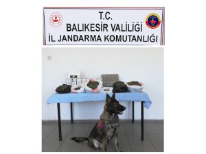 Ayvalık’ta jandarma 5.600 gram uyuşturucu ele geçirdi