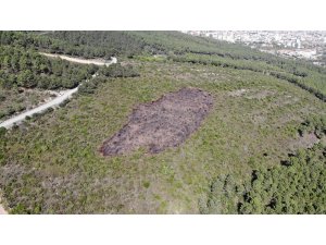 Aydos Ormanı’nda kundaklama sonucunda yanan ormanlık alandaki tahribat havadan görüntülendi