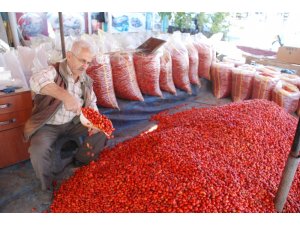 Kuşburnu bol olunca fiyatı düştü
