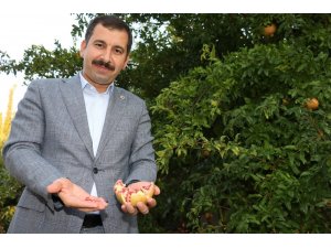 Karaköprü narı tescillendi