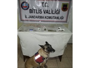 Bitlis’te uyuşturucu operasyonu