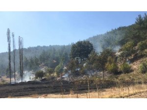 Orman Bölge Müdürlüğü ekiplerinin erken müdahalesi muhtemel bir faciayı önledi