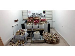 Jandarmadan nargile tütünü operasyonu
