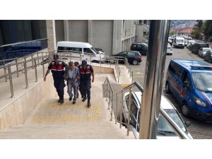 Jandarmadan uyuşturucu operasyonu: 1 tutuklu