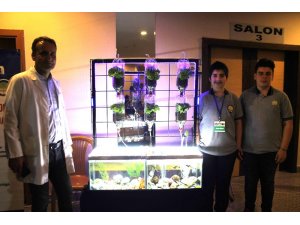 Akvaryumdaki balıkların atıkları marullara gübre oluyor