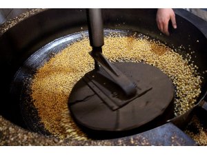 Kula leblebisi 16 farklı çeşidi ile dünyaya ihraç ediliyor