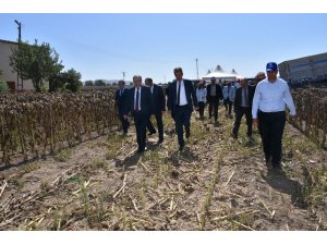 Sandıklı’da tarla günleri etkinliği