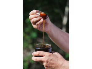 Kazdağları'nın "siyah balı"na uluslararası ödül