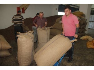 Türkiye en fazla fındığı Almanya'ya sattı