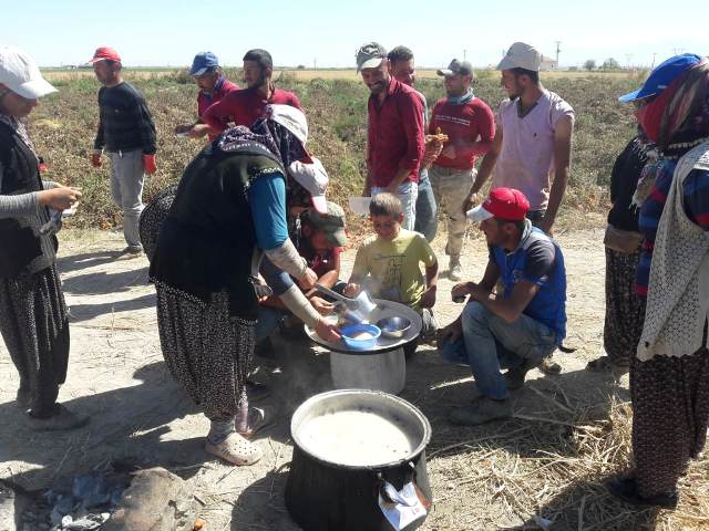 Aşure tarlada pişti
