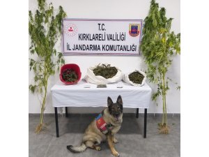 Kırklareli’de 3 kilo 965 gram kubar esrar ele geçirildi