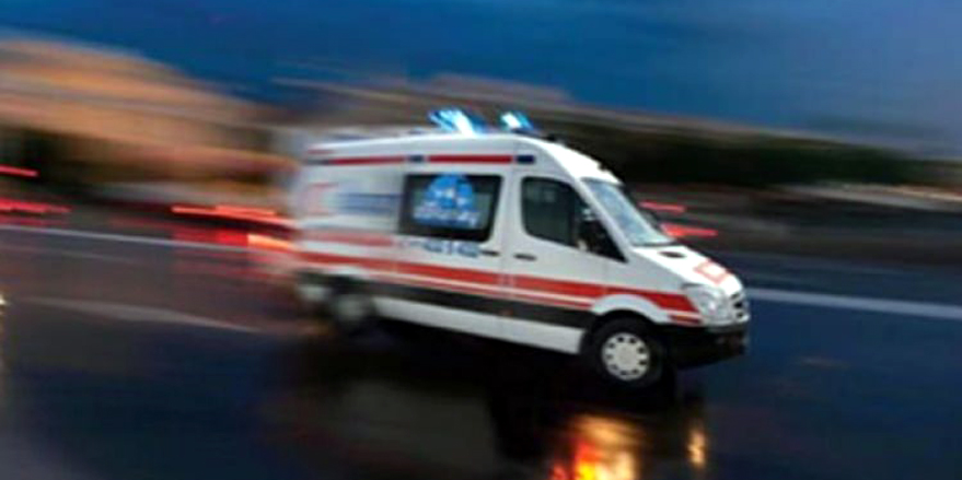 Üzüm toplamak için çıktığı asmadan düşen yaşlı adam yaralandı