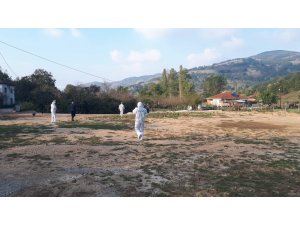 İznik'te kuyuya atılmış ve gömülmüş tavuklar bulunması