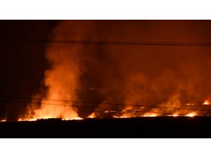 Ağrı'da sazlık alanda yangın