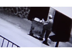 Motosikletin çarptığı köpek telef oldu