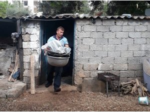 Antalya’da 1.5 tonluk midye operasyonu