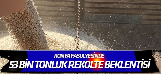 Konya fasulyesinde 53 bin tonluk rekolte beklentisi