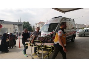 Ceviz ağacından düşen adam hayatını kaybetti