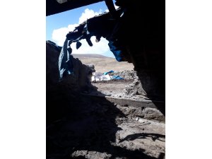 Elektrik akımına kapılan 24 büyükbaş hayvan telef oldu