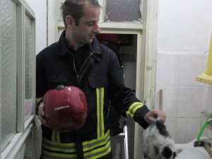 Havalandırma boşluğuna düşen yavru kediyi itfaiye kurtardı