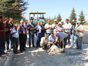Yol çalışması bitince kurban kestiler