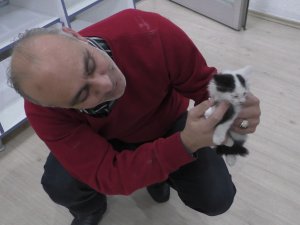 Havalandırma boşluğuna düşen yavru kediyi itfaiye kurtardı