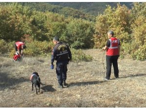 Ormana çıra toplamaya çıktı kendisinden bir daha haber alınamadı