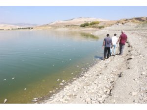 Adıyaman’da korkutan balık ölümleri