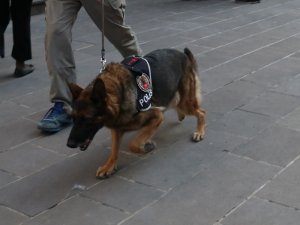 Rize Emniyet Müdürü Verdi’yi şehit eden polis memurunun yargılanması bugün başlıyor