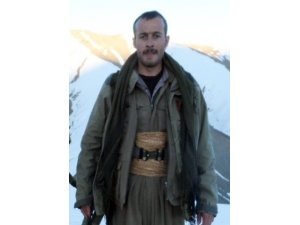 Terör örgütü PKK’ya bir darbe daha