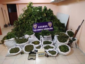 Nevşehir’de çuvallar dolusu esrar ele geçirildi