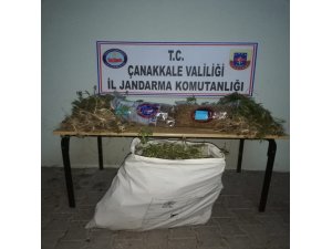 Çanakkale’de ’kenevir’ operasyonu